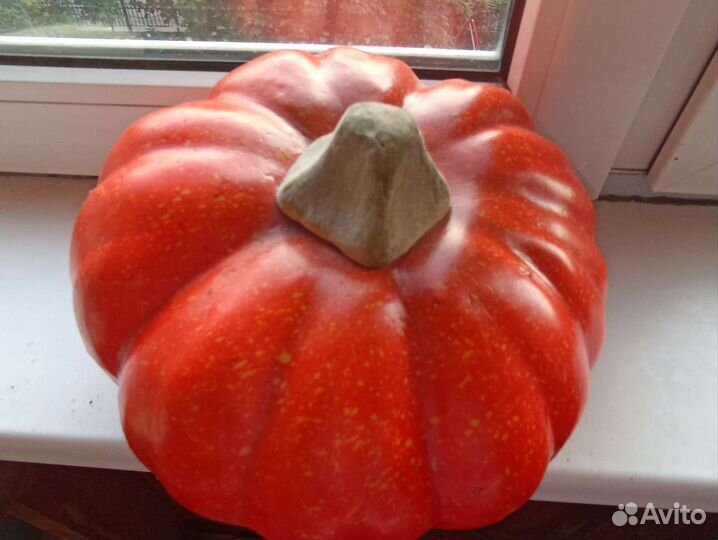 Тыква декоративная (муляж)