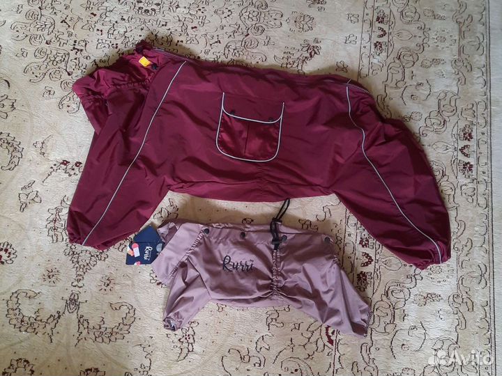 Одежда для собак