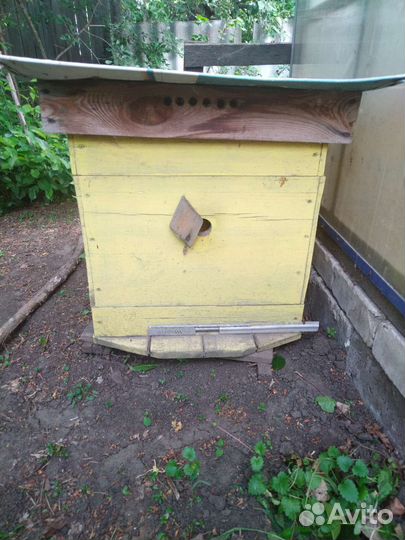 Улей для пчел бу