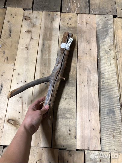 Коряги для террариума среднего размера