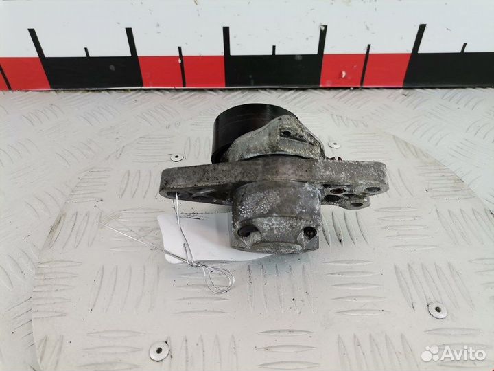 Натяжитель для Peugeot-Citroen Xsara