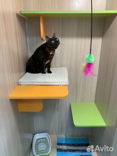 Зоогостиница, услуги грумера