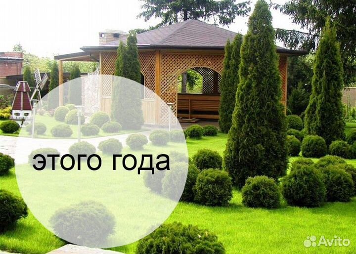 Рулонный газон Ландшафт в Щелково