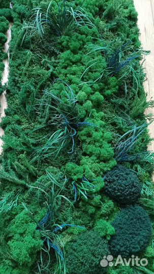 Панно мох стабилизированный