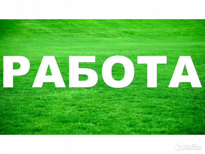 Вахта Грузчик жилье /Питание Выплаты еженед. /Отл