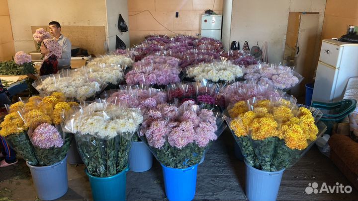 Продажа цветов оптом