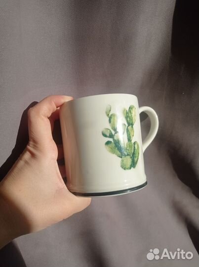 Кактус HM Home