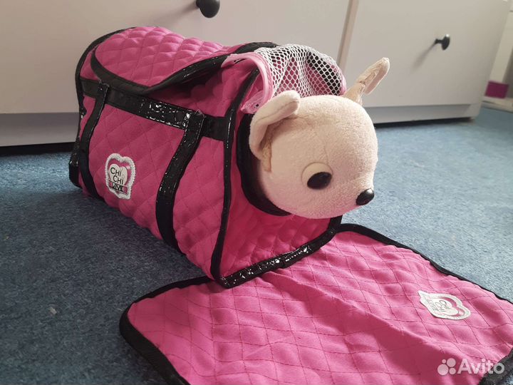 Собака CHI CHI love