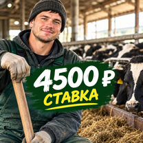 Скотник вахта проживание, Бровары