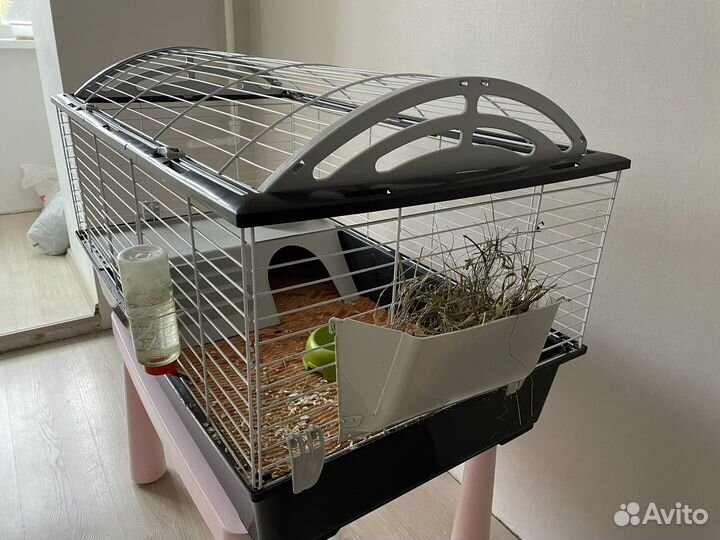 Клетка для домашнего животного