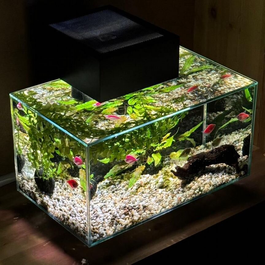 Аквариум Fluval Edge с фильтром и рыбками