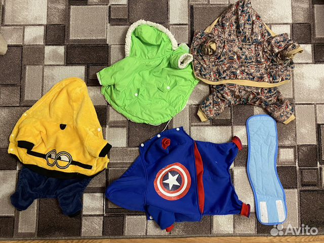 Одежда для собак мелких пород