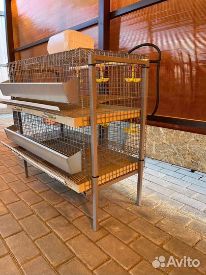 Клетки для кур несушек