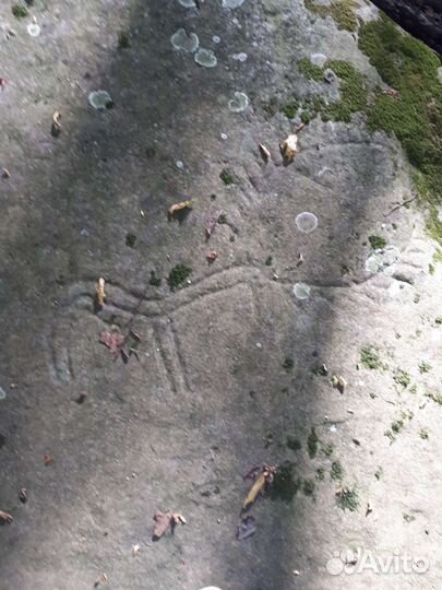 Экскурсия на Дольмены