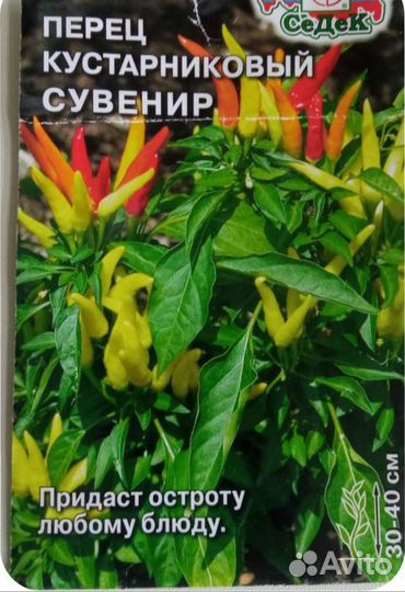 Перец комнатный острый
