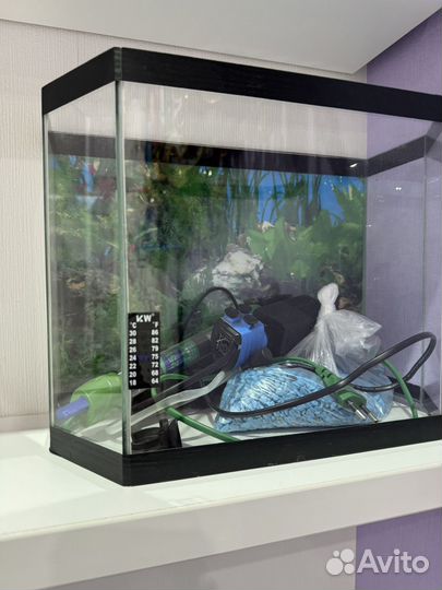 Аквариум