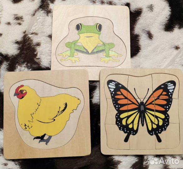 Набор монтессори процесс роста и развития