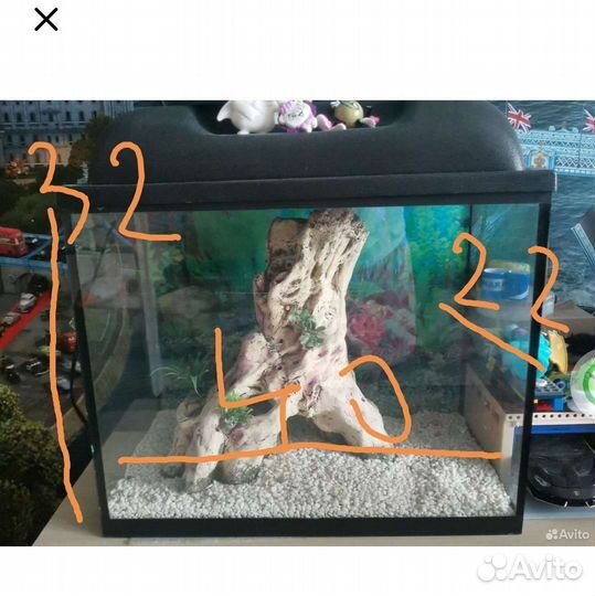 Аквариум