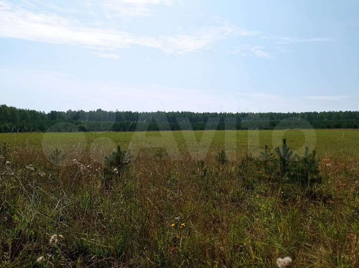 Участок 10 га (СНТ, ДНП)