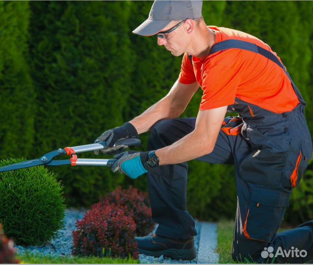 Требуются рабочие в садовый центр