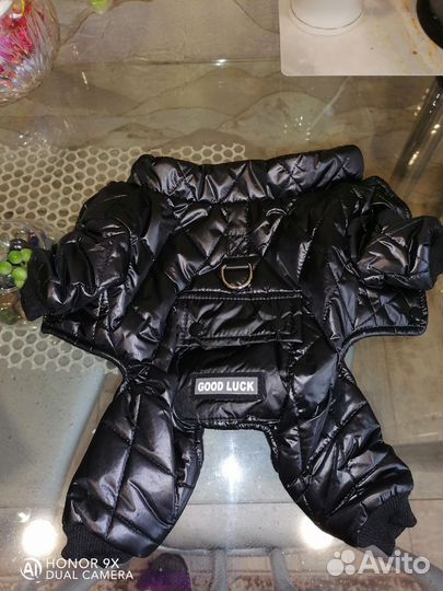 Одежда для маленьких собак s