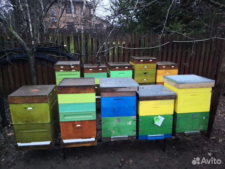 Продам ульи для пчел
