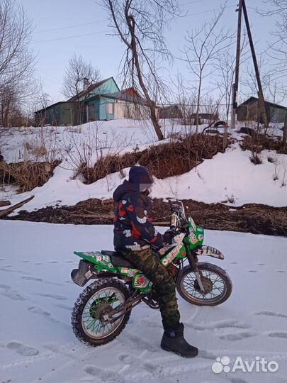 Зид пилот 50