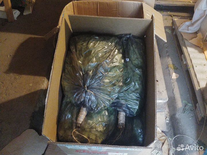 Веники дубовые