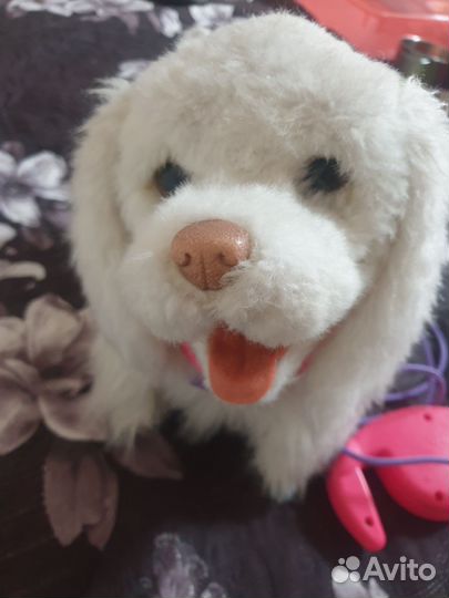 Интерактивная собака Hasbro