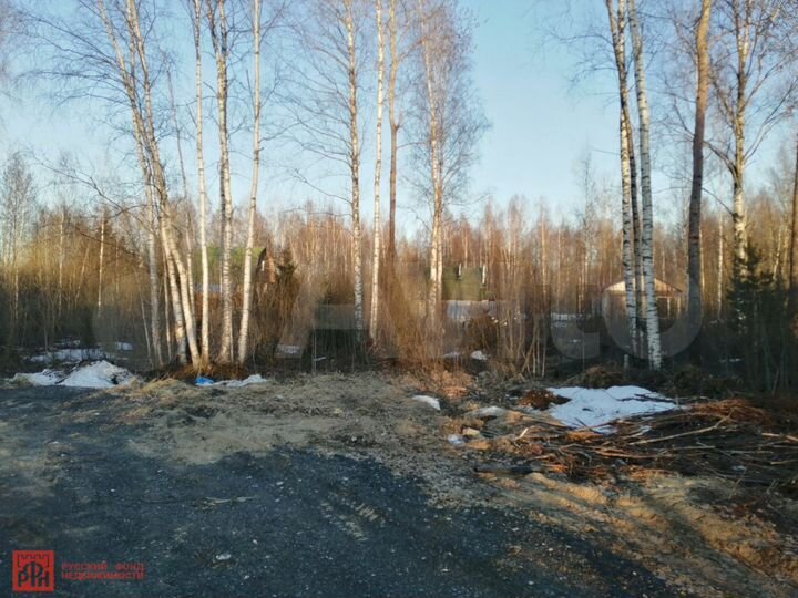 Участок 11 сот. (СНТ, ДНП)