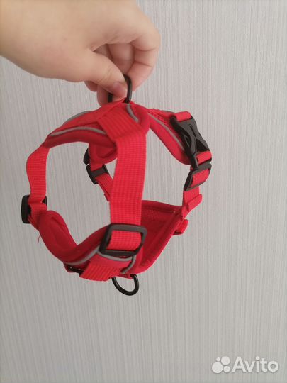 Шлейка для маленьких собак и поводок 1,5 метра