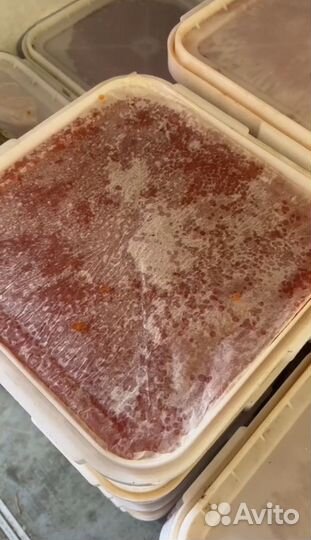 Икра красная кеты