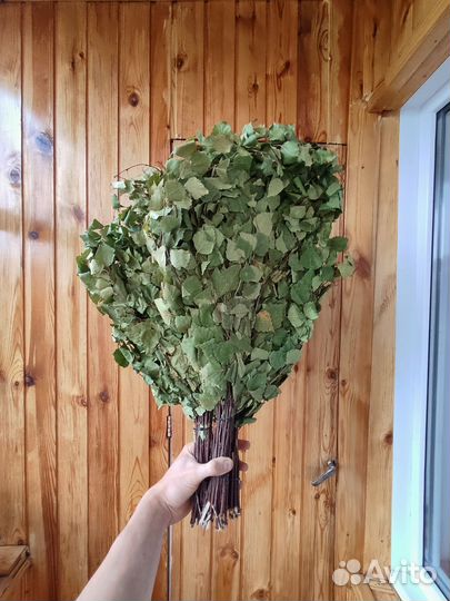 Березовые веники для бани