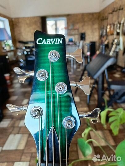 Бас гитара Carvin Icon 5 piezo USA (обмен)