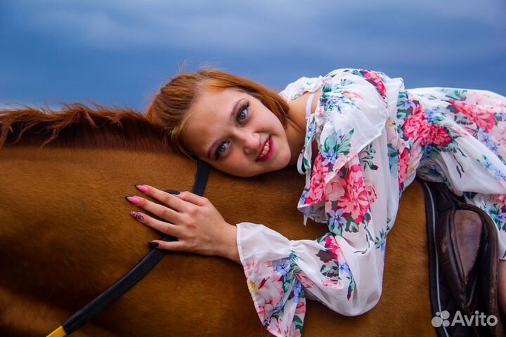 Конные прогулки