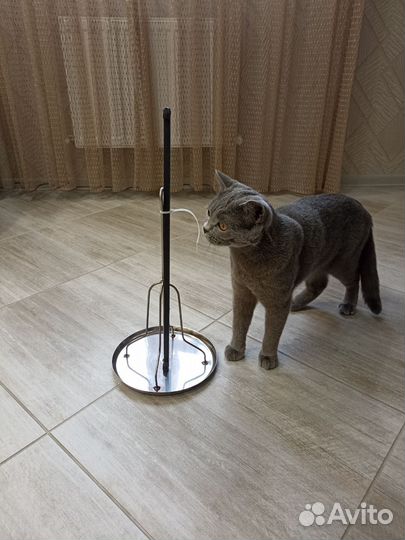 Курница (тарелка-гриль)