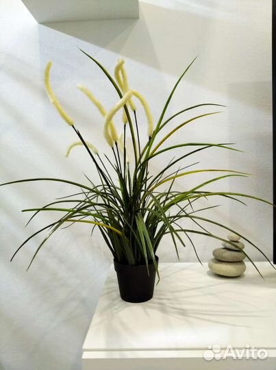 Фейка IKEA, декоративные банки