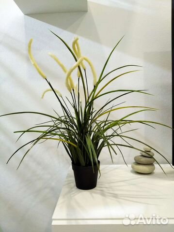 Фейка IKEA, декоративные банки