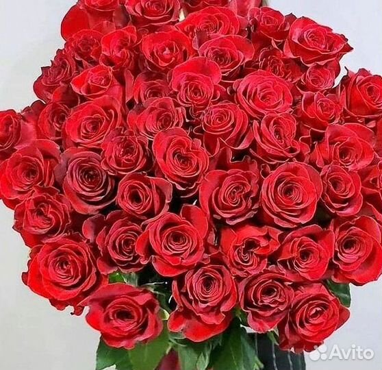 Букет роз 101 роза 51 роза