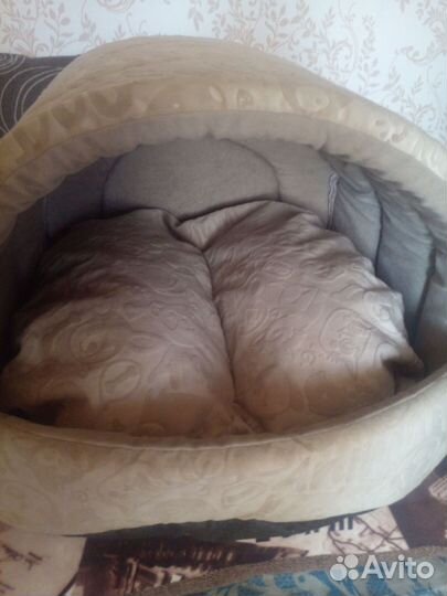 Кошачий домик