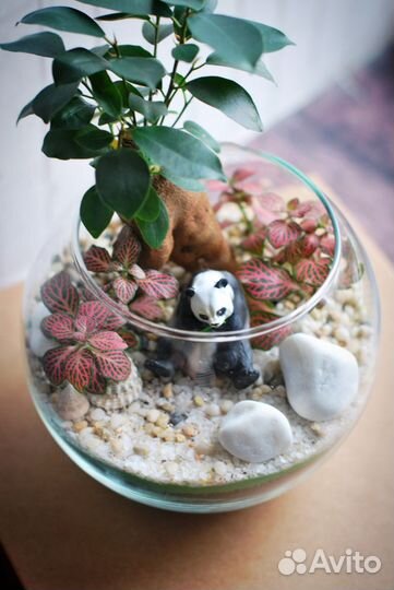 Флорариум с пандой и мини деревцем (бонсай)