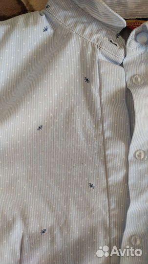 Блузки школьные 158