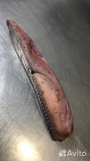 Кости говяжьи (бесплатно)