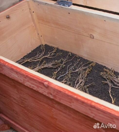 Иван-чай цельнолистовой с травами и ягодами