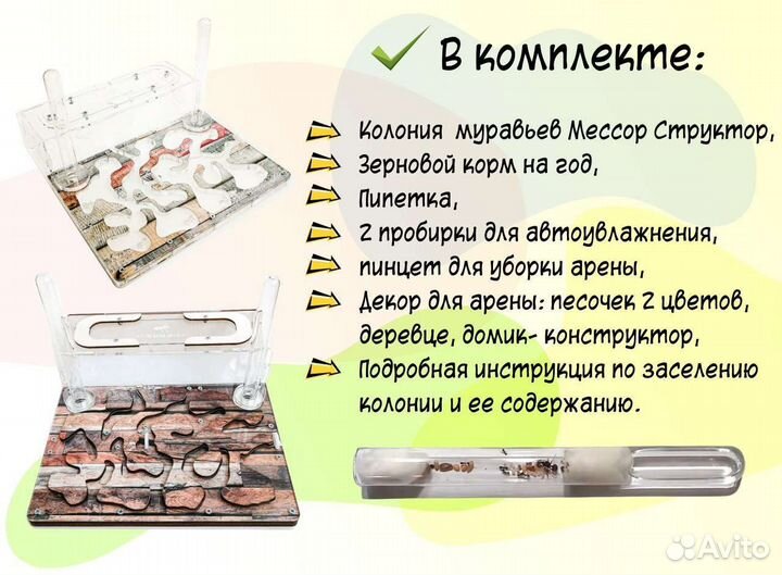 Формикарий с муравьями. Муравьиная ферма