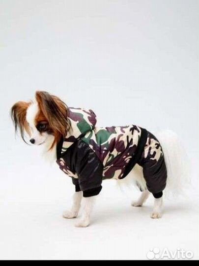 Комбинезон зимний для животных