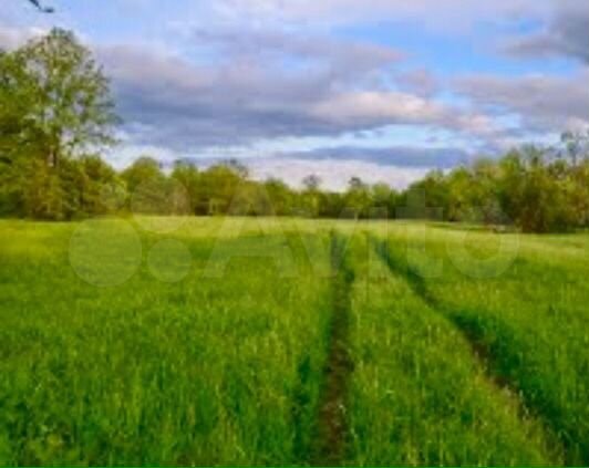 Участок 7 га (СНТ, ДНП)