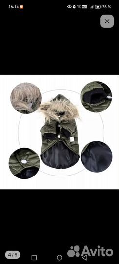 Одежда для собак