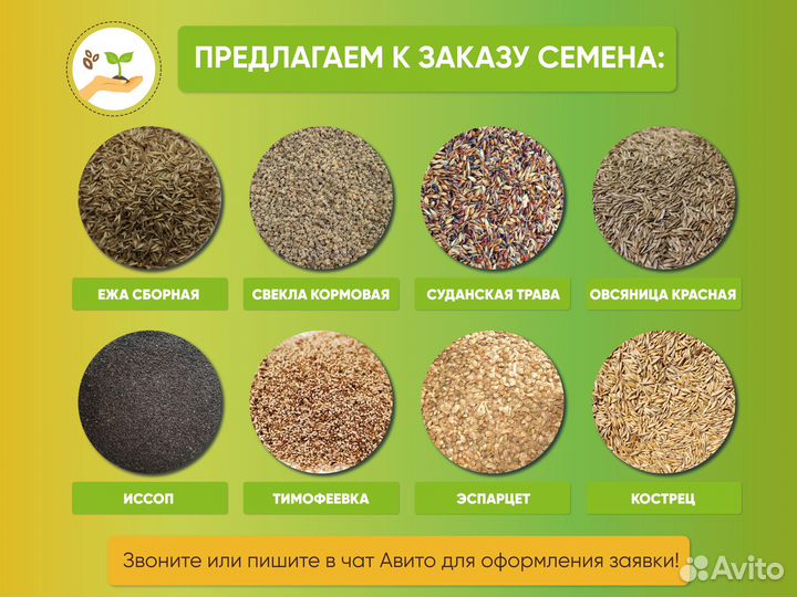 Семена клевера белого