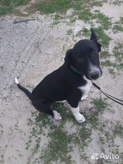 Мальчишки,6 мес